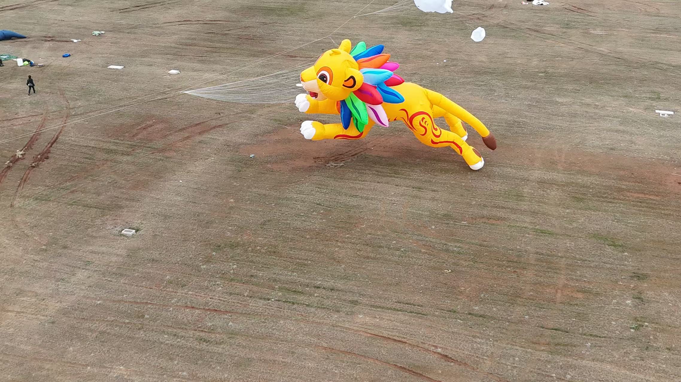 邯郸市品牌风筝定制风筝定制 - 厂家