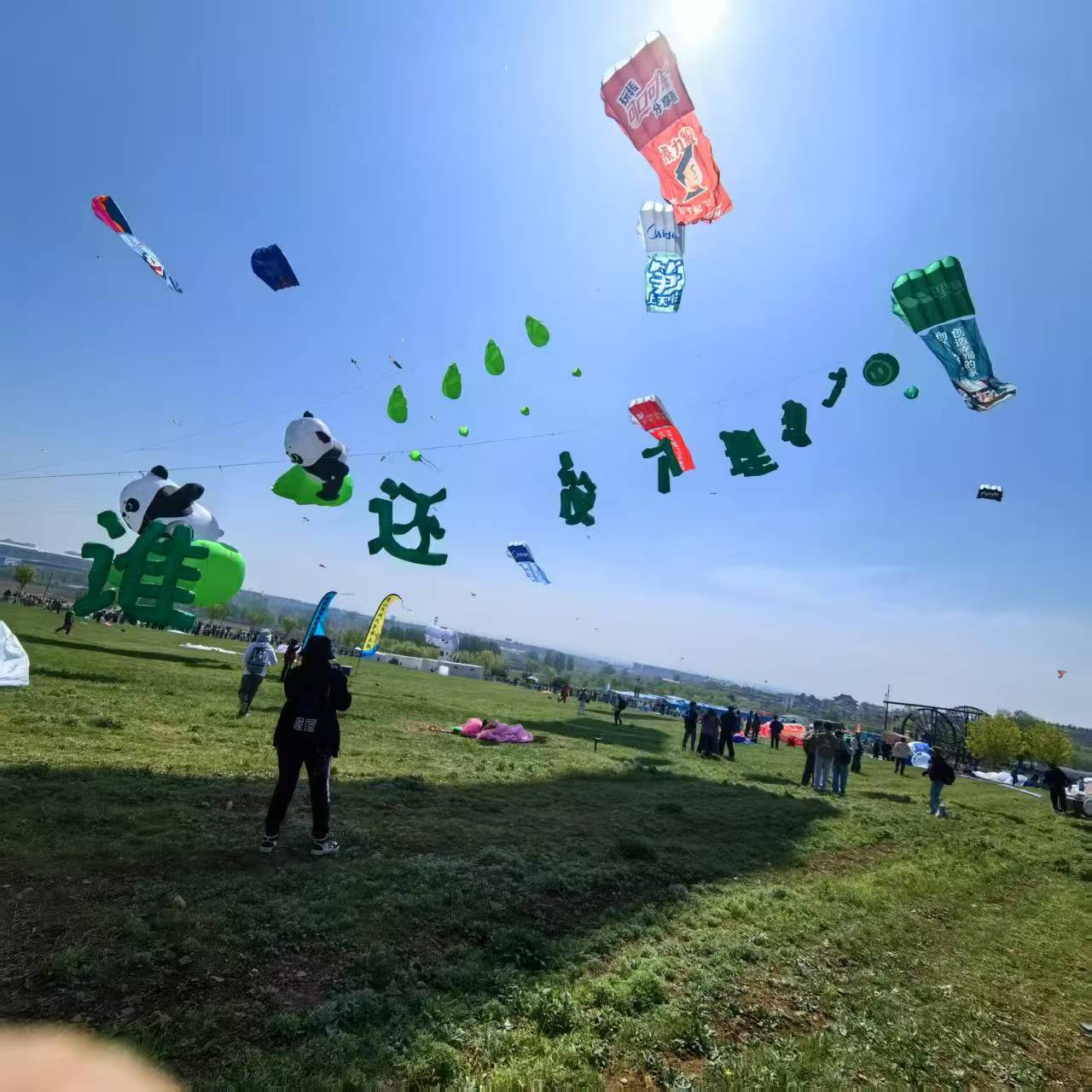 邯郸市风筝放飞活动策划风筝定制 - 一站式服务